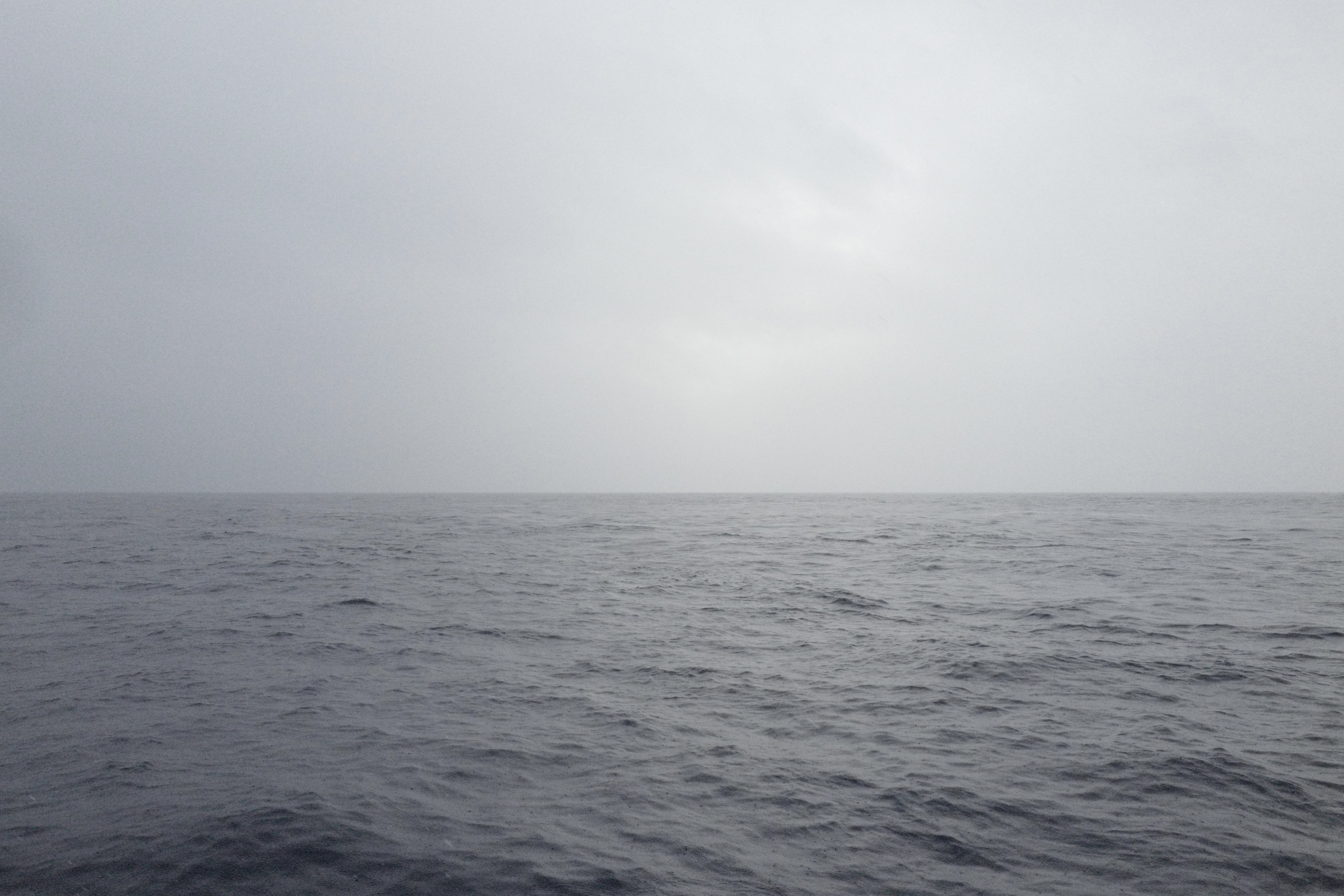 海